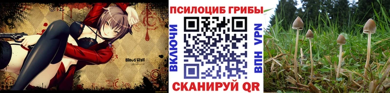 МЕГА ТОР  Североуральск  Галлюциногенные грибы мухоморы 